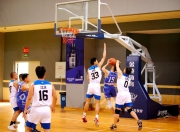 雷速直播-赛地聚焦——德国杯赛后热度飙升，福建男篮手感冰凉，引发热议，团队化学反应显著的简单介绍